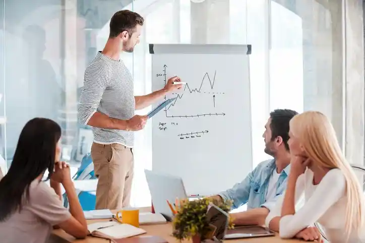 Mentorship from Industry Experts